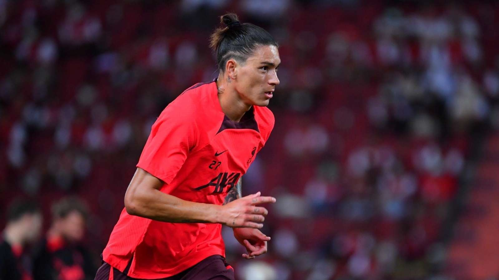 桑乔肩上的 桑乔肩上的